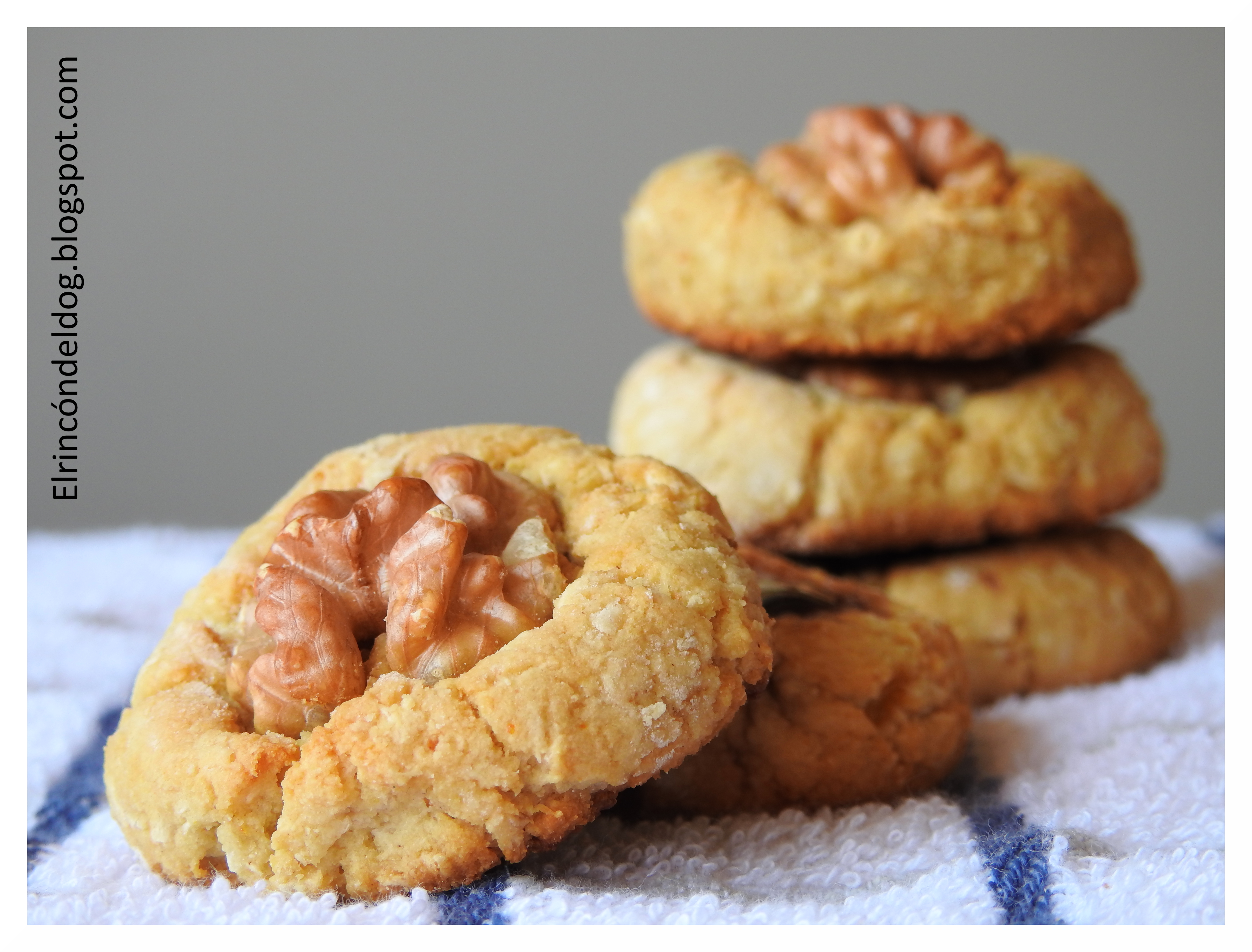 Galletas con Harina de Coco