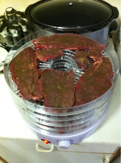 Paleo Gluten-Free Biltong Recipe Dehydrator Snacks