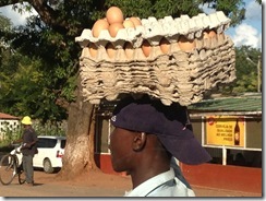 Africa 025