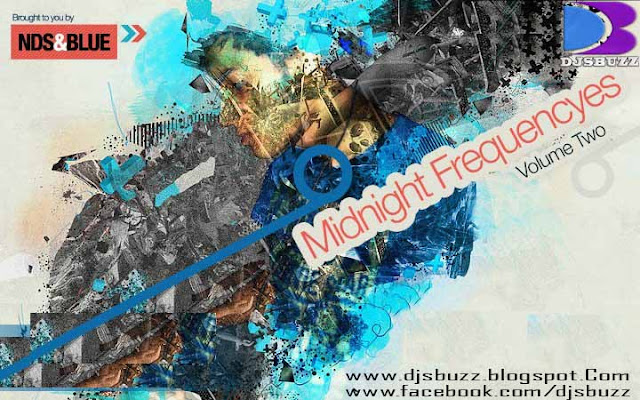 MIDNIGHT FREQUENCYES VOL.2 BY DJ NDS & BLUE