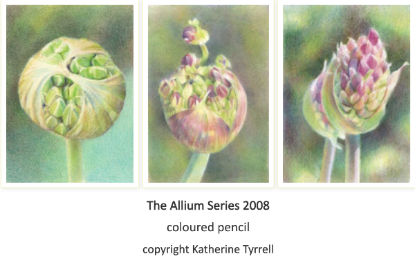 The Allium Series 2008 copyright Katherine Tyrrell