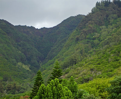 Oahu - a last refuge of