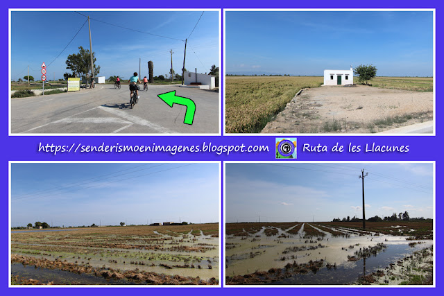 Delta de l'Ebre (Ruta de les Llacunes)