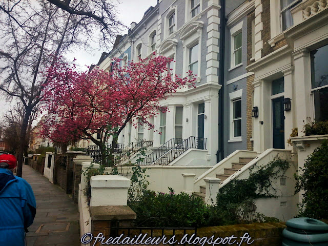 Londres Kensington prunus