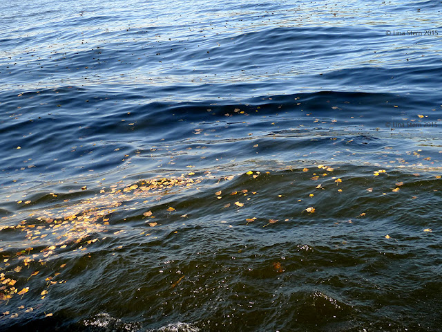 "Autumn water", photos for interior decoration, by Lina Stern