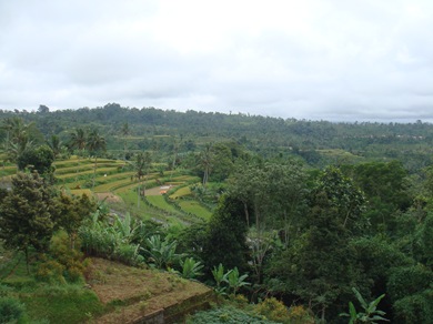 DSC04812