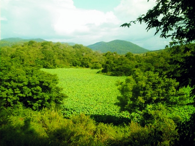 Danau Rana Tonjong