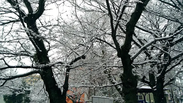 2018年1月11日長崎で雪！！