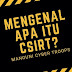 Mengenal Apa itu CSIRT