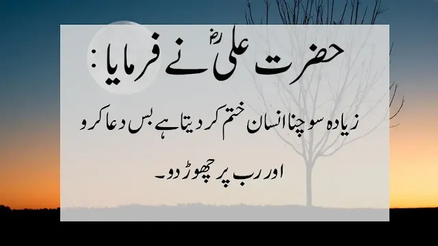 20+ Best Quotes Of Hazrat ALI (R.A)