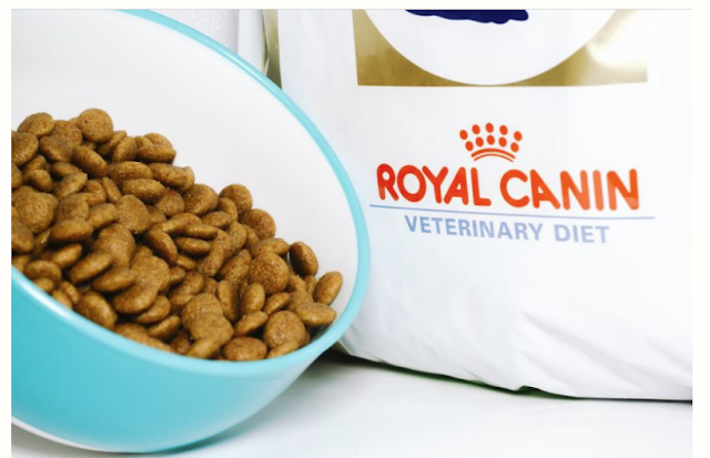 The Ultimate Guide to Choosing the Best Dog Food and Cat Food: Royal Canin, Raw Food, and Whiskas Reviewed