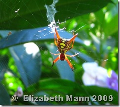 Photo #6