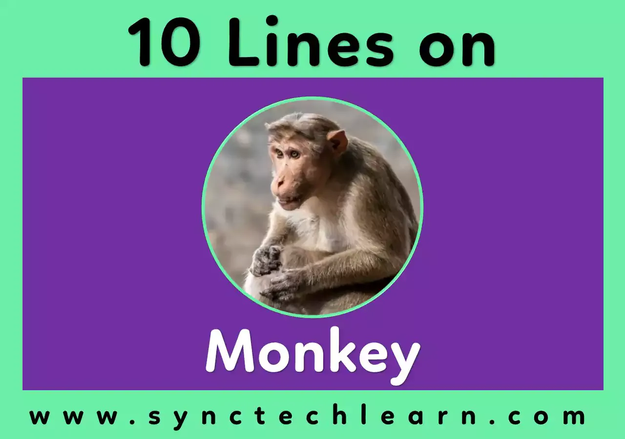 10 Lines On Monkey in English - Short Essay on Monkey - Few lines about Monkey