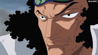 ワンピースアニメ 頂上戦争編 489話 青キジ | ONE PIECE Episode 489