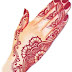 Pakistani nice Mehndi Designs