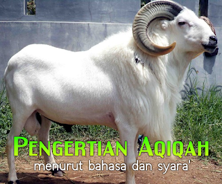 Pengertian Aqiqah