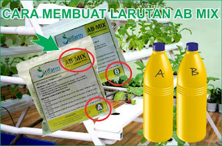 Cara mencampur Nutrisi untuk Hidroponik