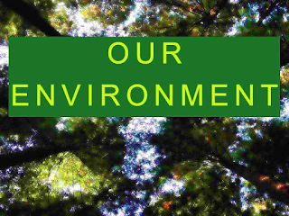 save-our-environment