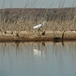 View album