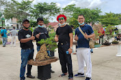 Sedang Berlangsung Pameran Komunitas Pecinta Bonsai Inhil