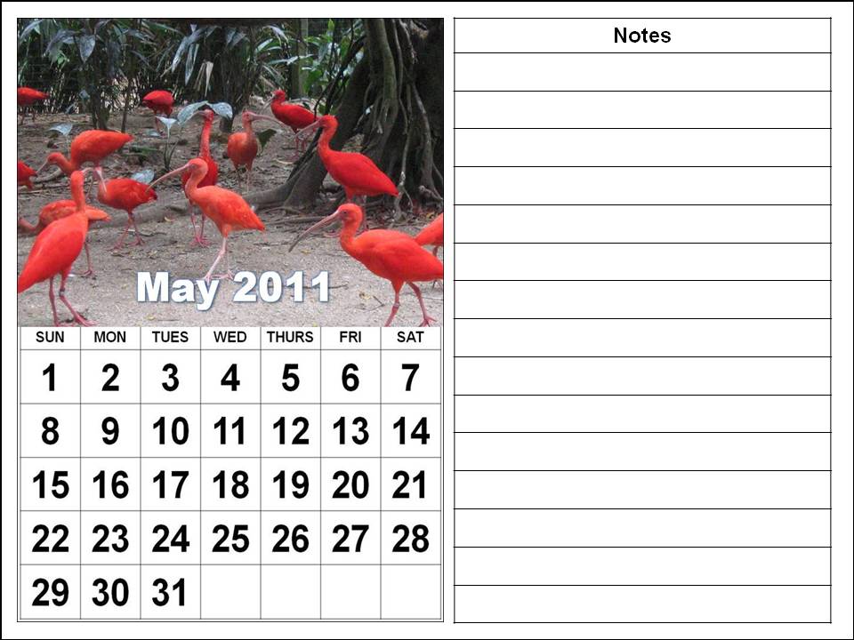 calendar 2011 april may. april may calendar 2011. april