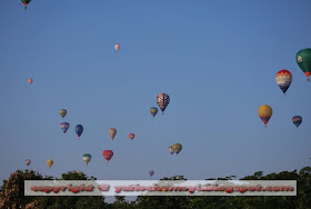 [DSC_0393.JPG]