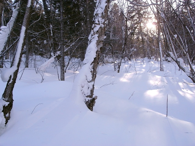 R1076252.JPG