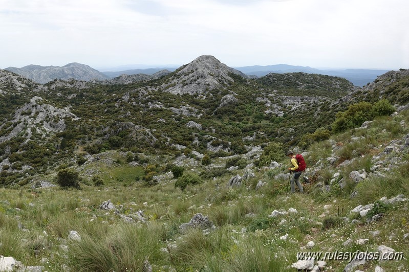 Nueve picos de la Sierra del Endrinal