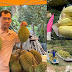 Durian Samlot, Battambang Province🌺 🌿🇰ðŸ‡