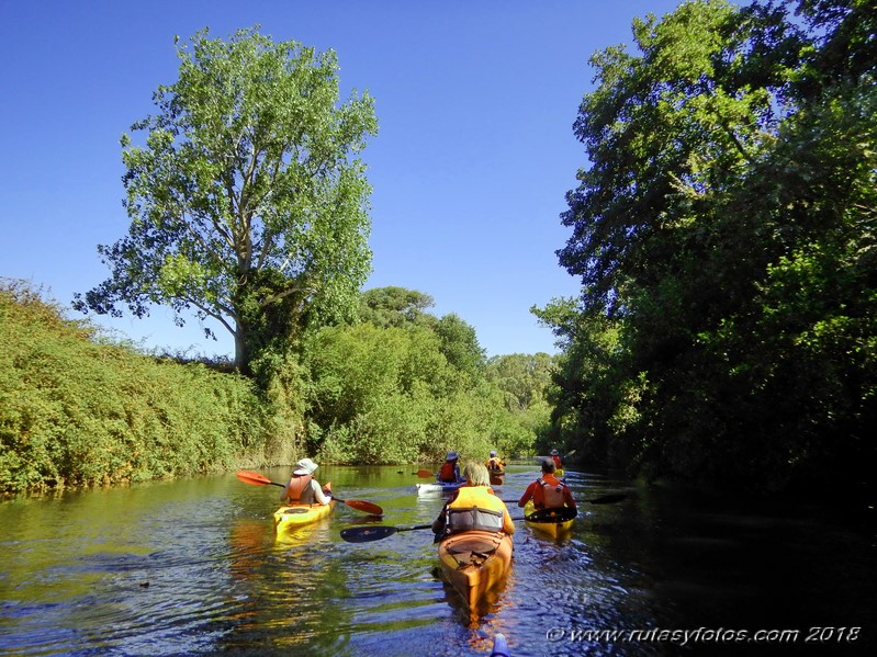 Kayak río Palmones