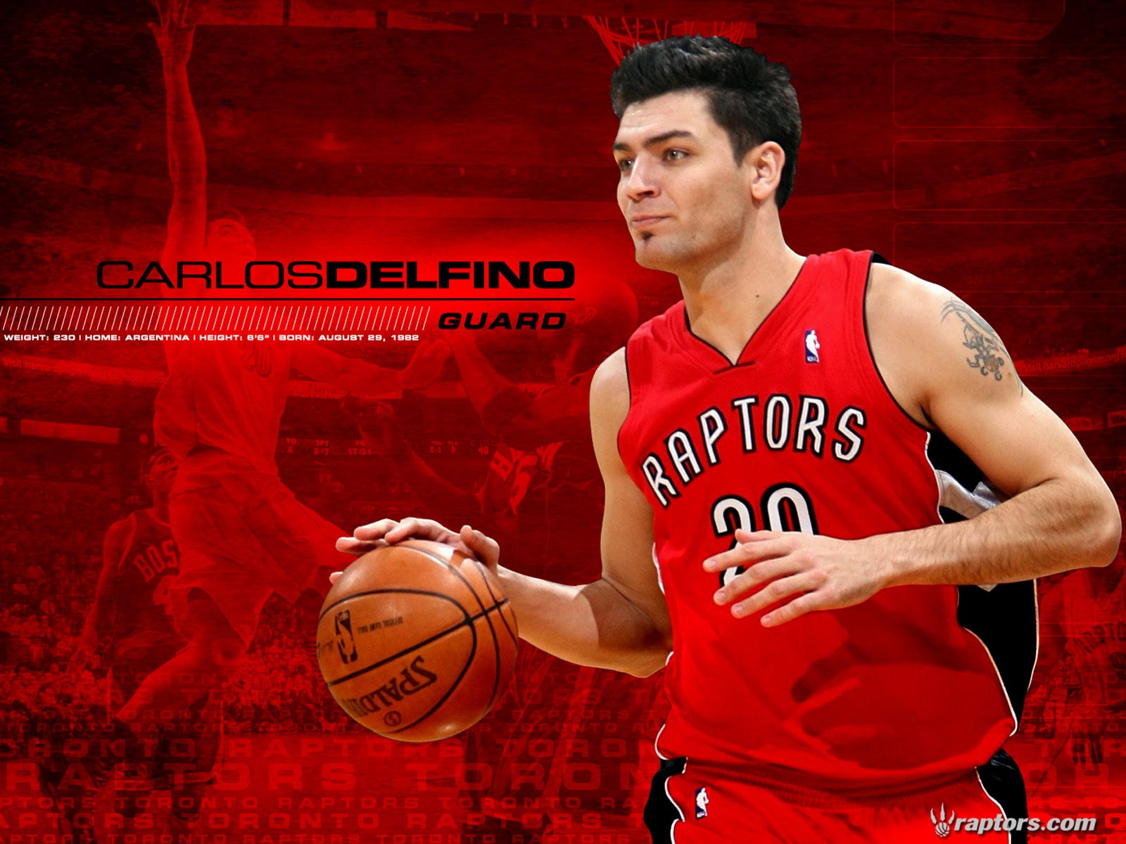 Carlos Delfino NBA wallpapers | NBA Wallpapers, Basket Ball Wallpapers