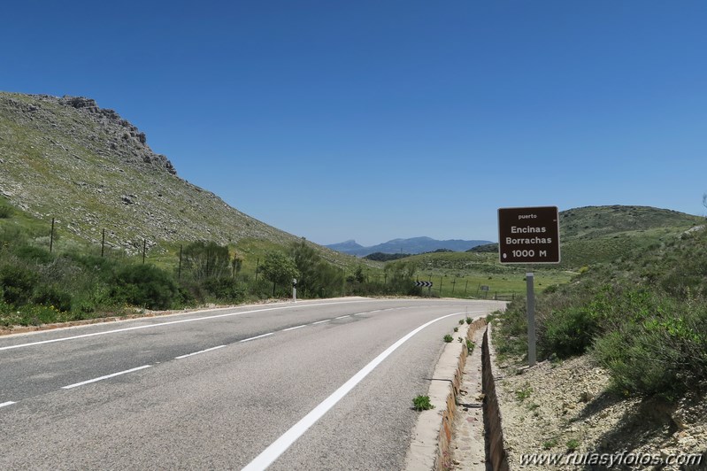 Tajo del Abanico - Encinas Borrachas - rio Audalazar - Alpandeire