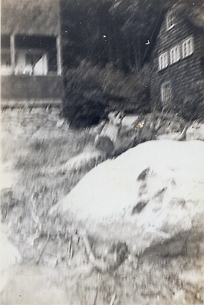 Possibly Goose Pond, MA, abt 1940