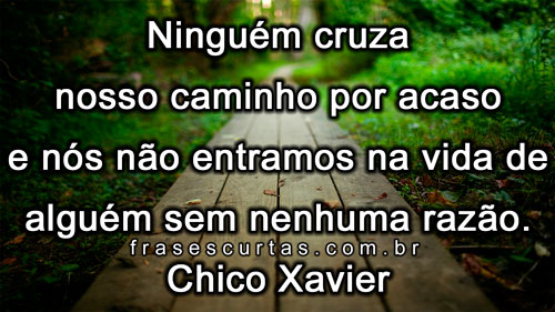 Frases Chico Xavier