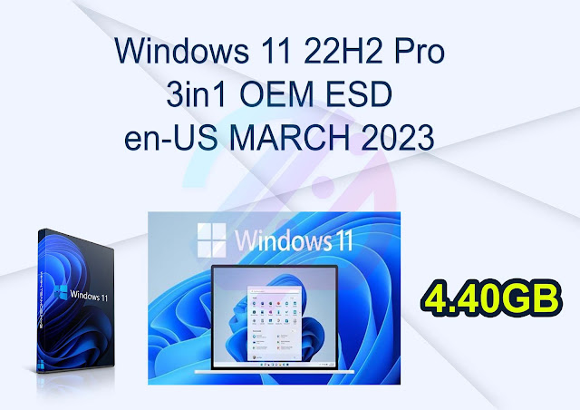 Windows 11 22H2 Pro 3in1 OEM ESD en-US MARCH 2023