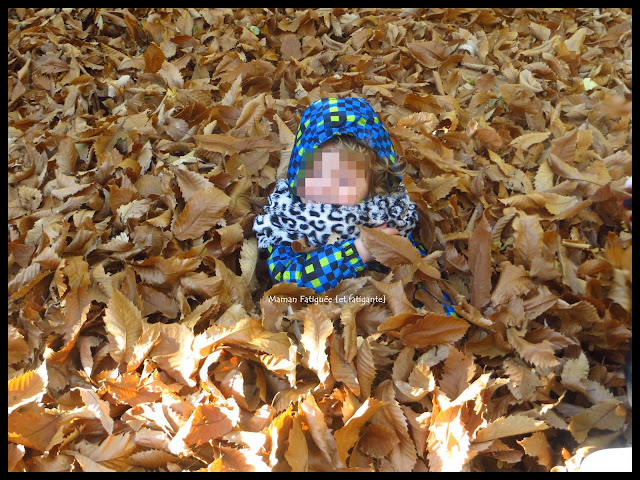 enfant feuilles mortes automne