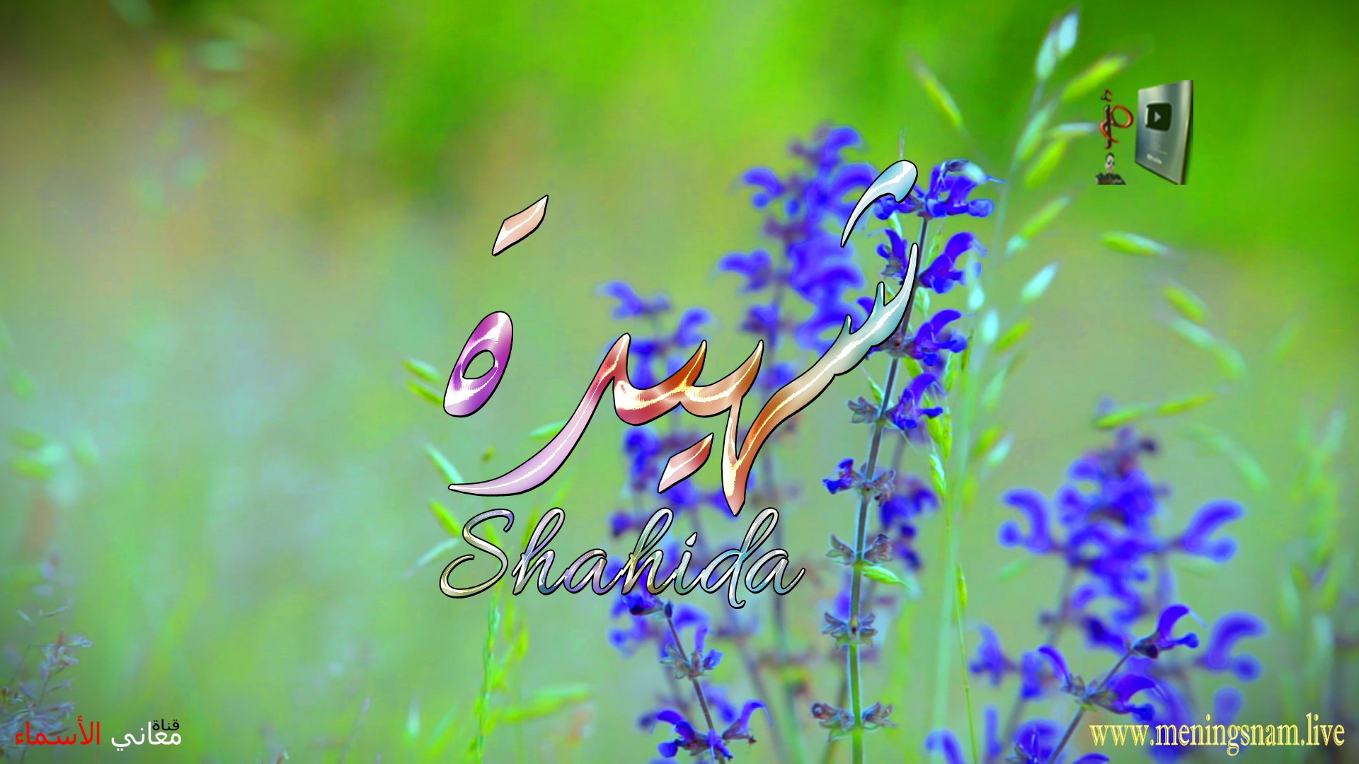 معنى اسم, شهيدة, وصفات, حاملة, هذا الاسم, Shahida,