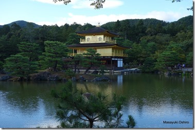 228-DSC07245