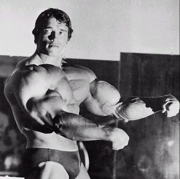 arnold schwarzenegger workout photos. arnold schwarzenegger workout