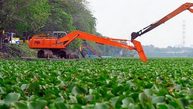 Karena Jokowi Blusukan Ke Danau Toba Pemeritah Sumut dan Pemkab Simalungun SIBUK