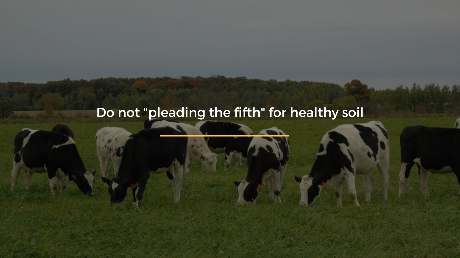 Do not "pleading the fifth" for healthy soil