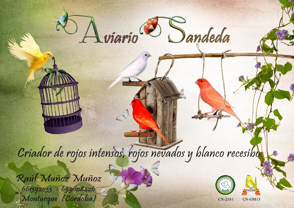 AVIARIO SANDEDA