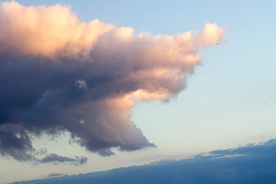 Pareidolia de un tiburón en una nube, de Carlos Larios