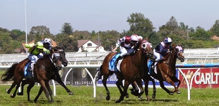 race5_finish 1