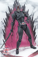 S.H. Figuarts Kamen Rider Black Sun 35