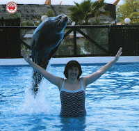 Leones marinos en Aquopolis de la Pineda Platja - Vila Seca