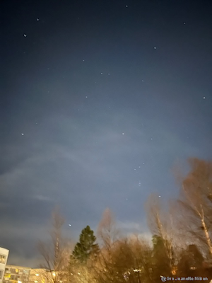 Stjerneklart på nyttårsaften! (Foto: Gro Jeanette Nilsen).