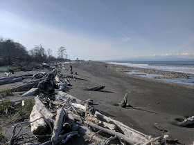 Elwha River delta along coast of Strait of Juan de Fuca.