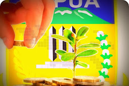 Realisasi Investasi Penanaman Modal di Papua Naik 18 Persen