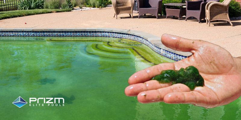 Swimming Pool Cleaning Services - Prizm Elite Pools